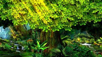 大树爆料视频大全下载  第3张